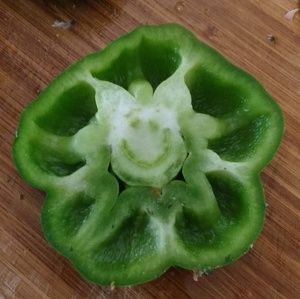 Meet your Posher, Heidi